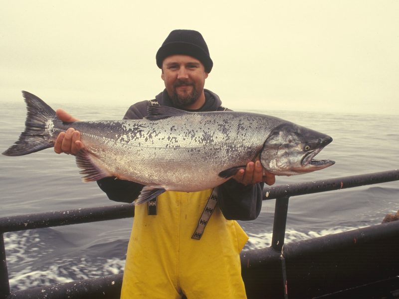 A fisherman holding a whole silver salmon catch